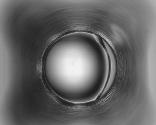 X0000097870437200803211317