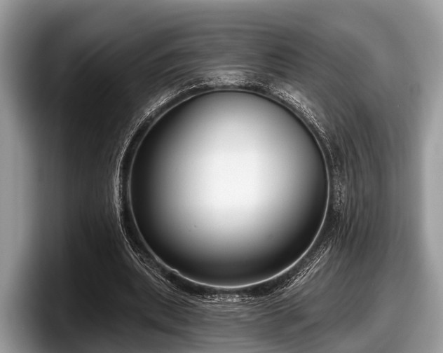 X0000097870439200803211317