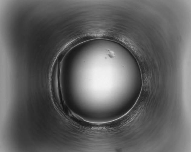 X0000097870440200803211317