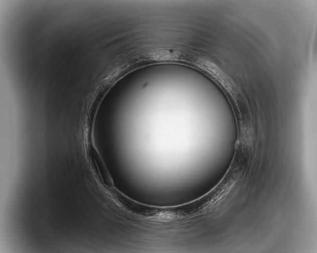 X0000097870441200803211317
