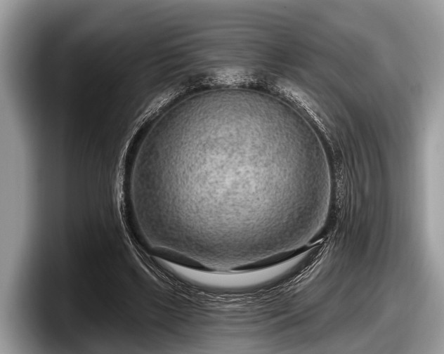 X0000097870443200803211317