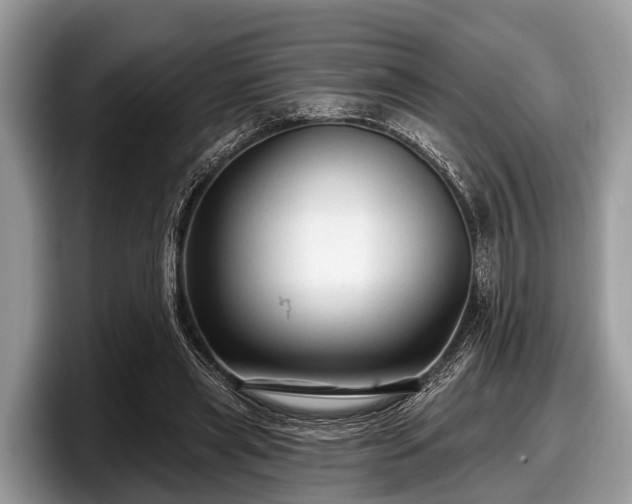 X0000097870445200803211317