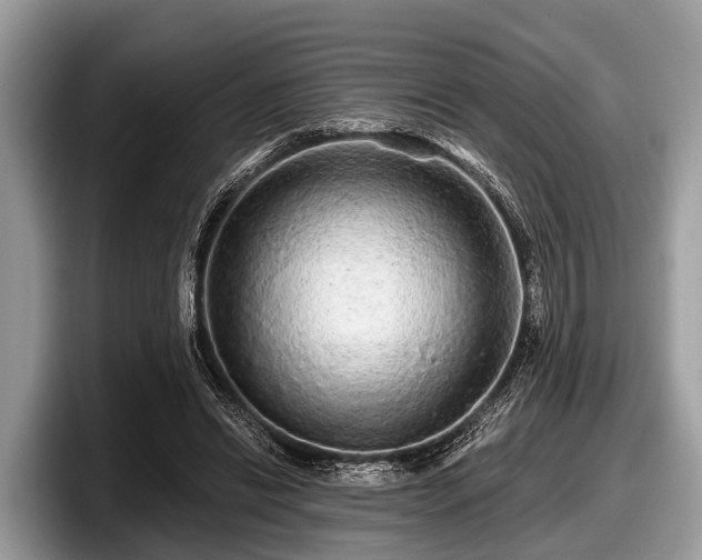 X0000097870446200803211317