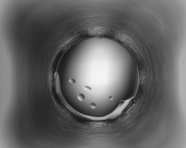 X0000097870448200803211317
