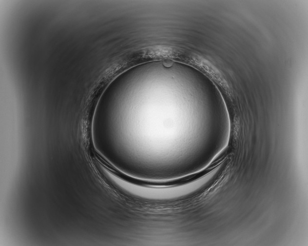 X0000097870449200803211317