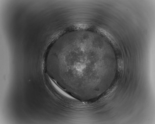 X0000097870451200803211317