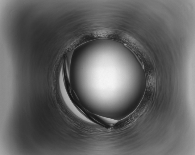 X0000097870452200803211317