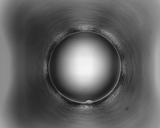 X0000097870453200803211317