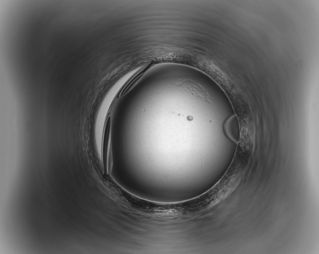 X0000097870454200803211317