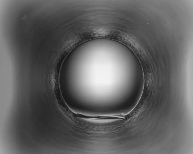 X0000097870455200803211317