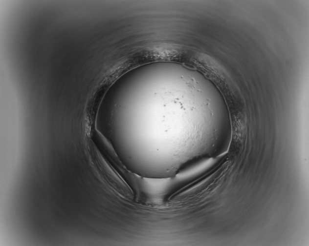 X0000097870456200803211317