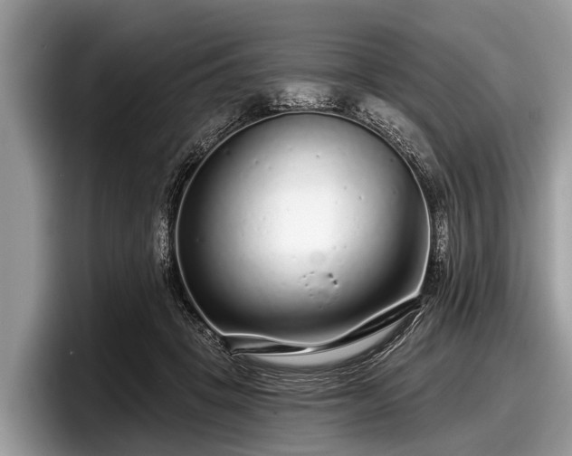 X0000097870457200803211317