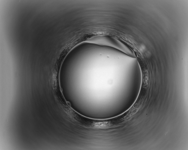 X0000097870461200803211318