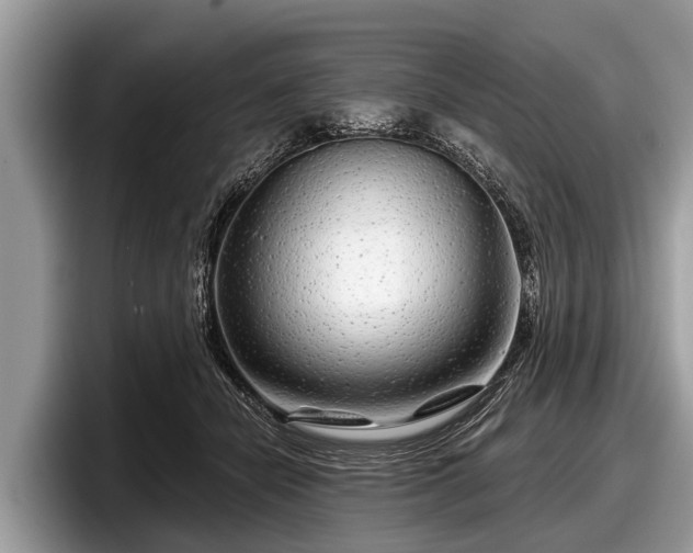 X0000097870462200803211318