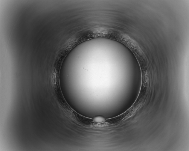 X0000097870463200803211318