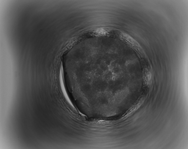 X0000097870467200803211318