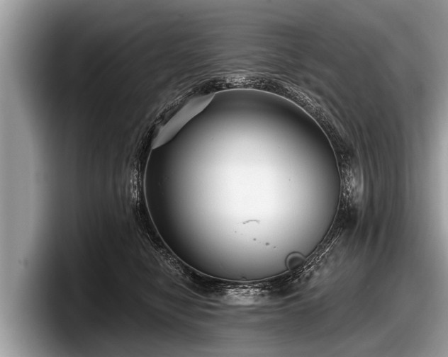X0000097870470200803211318
