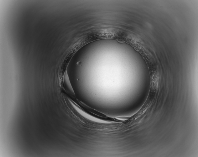 X0000097870474200803211318
