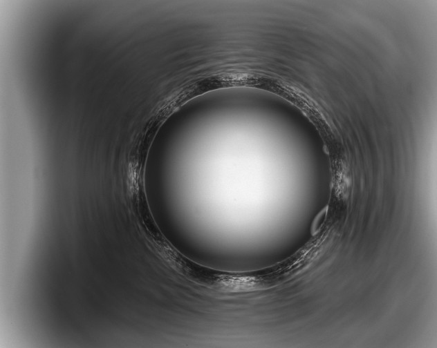 X0000097870476200803211318