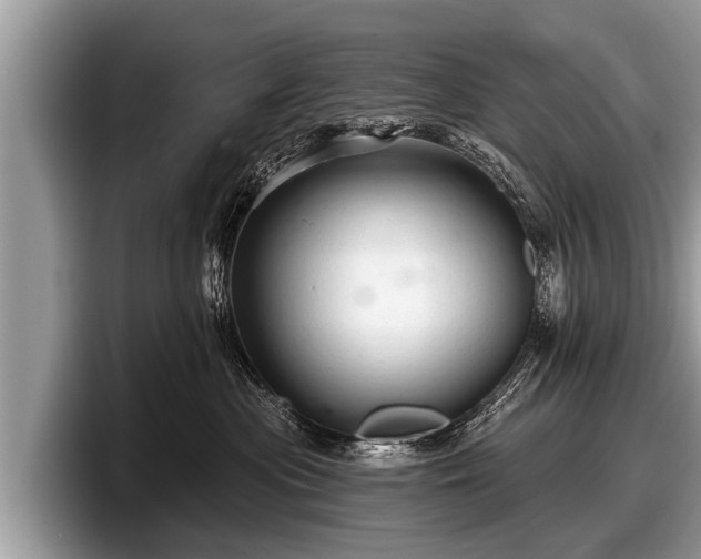 X0000097870477200803211318
