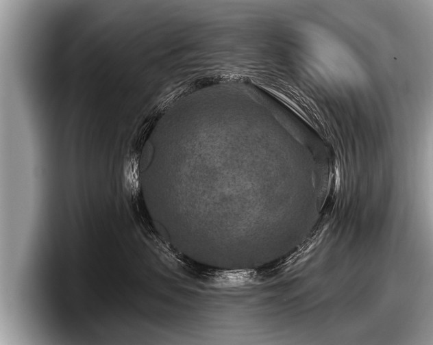 X0000097870479200803211318