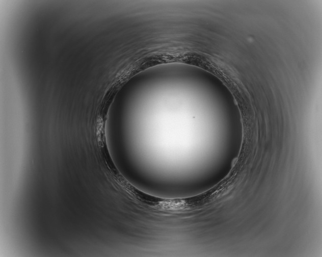 X0000097870480200803211318