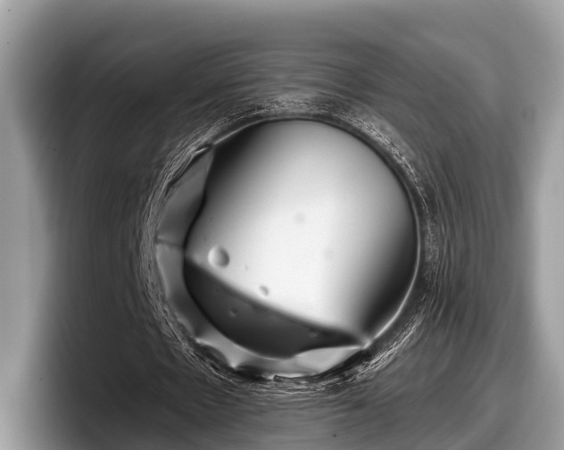 X0000097870481200803211317