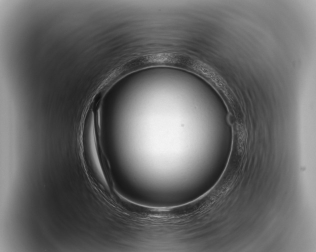 X0000097870482200803211317