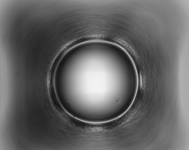 X0000097870483200803211317