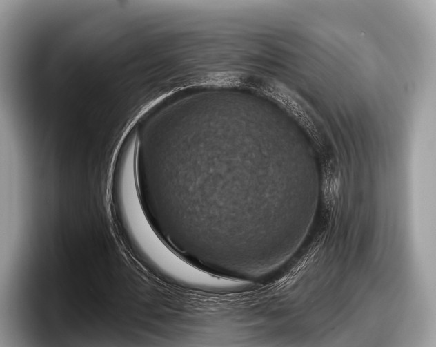 X0000097870484200803211317