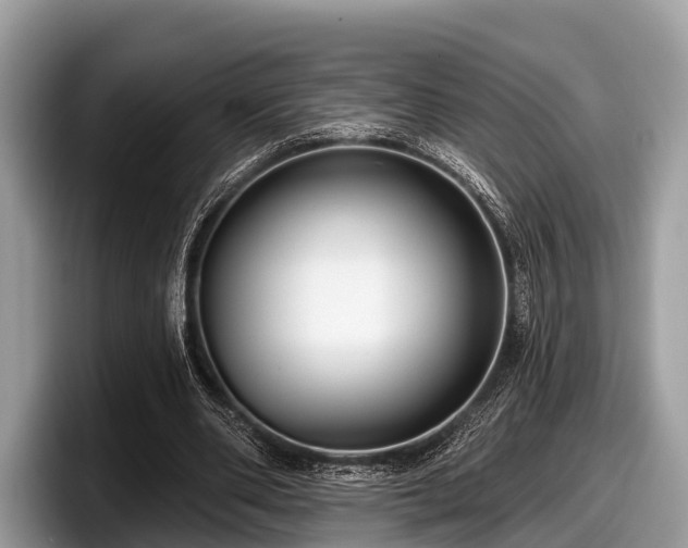 X0000097870486200803211317