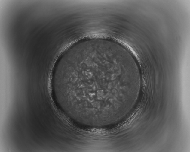 X0000097870487200803211317