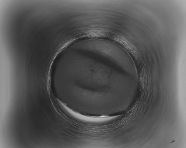 X0000097870488200803211317
