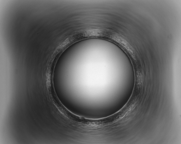 X0000097870489200803211317