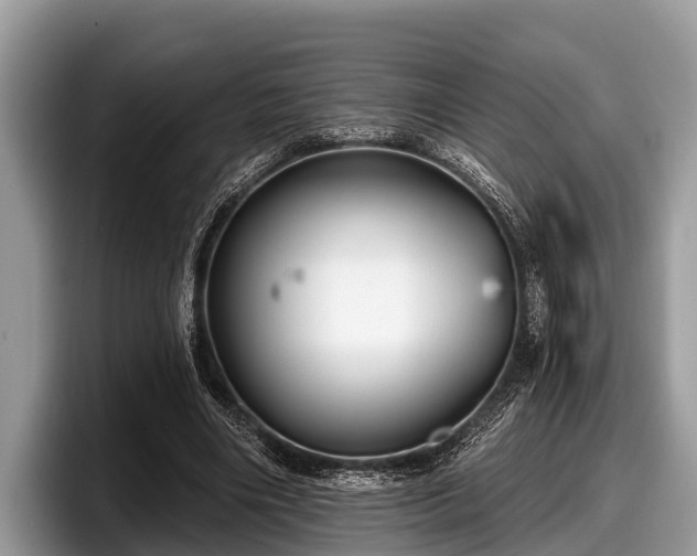 X0000097870490200803211317
