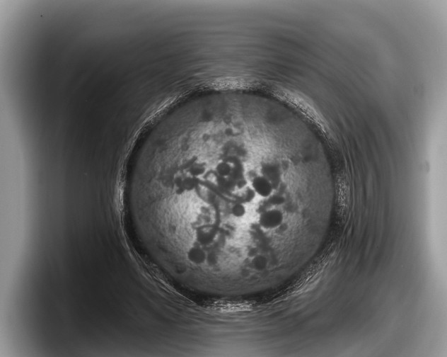 X0000097870491200803211317
