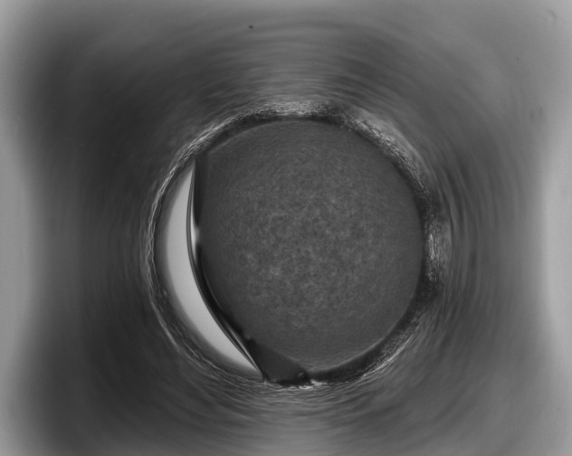 X0000097870492200803211317