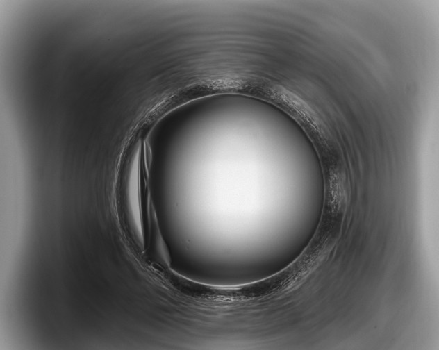 X0000097870494200803211317