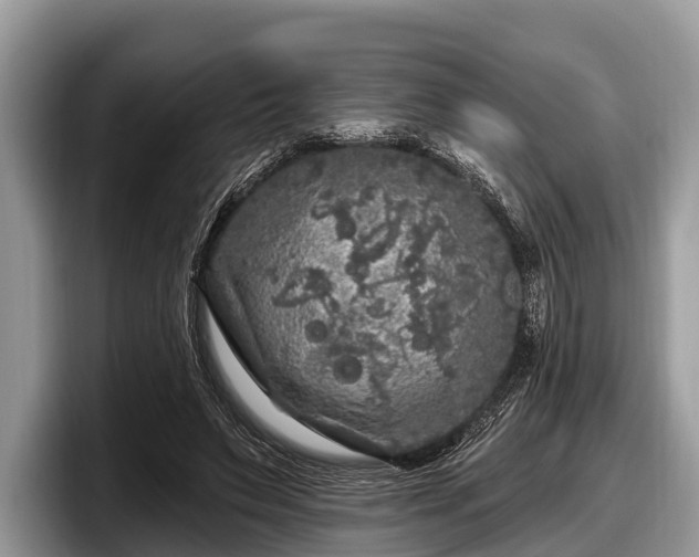 X0000097870495200803211317
