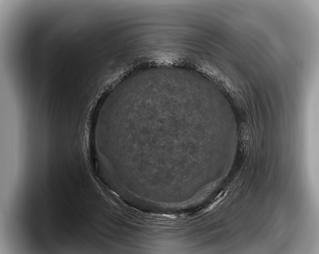 X0000097870496200803211317