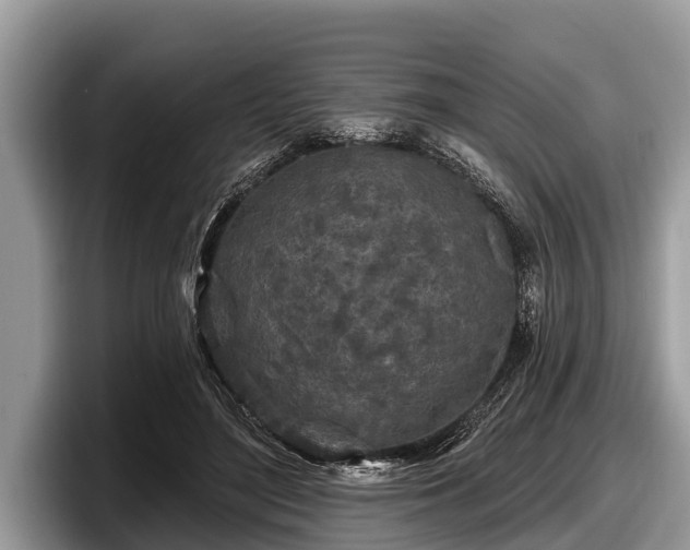 X0000097870500200803211317