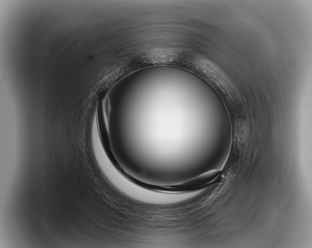 X0000097870501200803211317