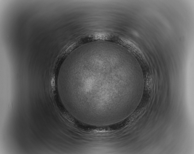 X0000097870502200803211317