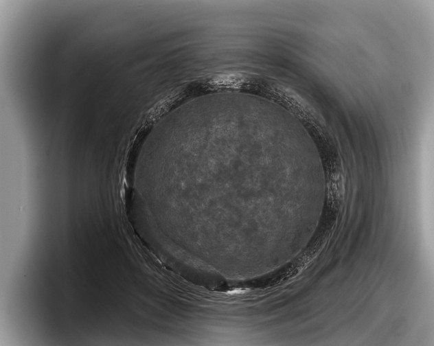 X0000097870504200803211317