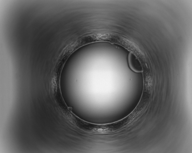 X0000097870506200803211317