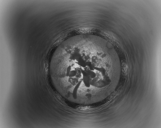 X0000097870507200803211317