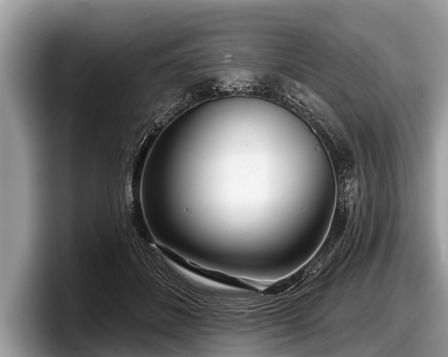 X0000097870508200803211317