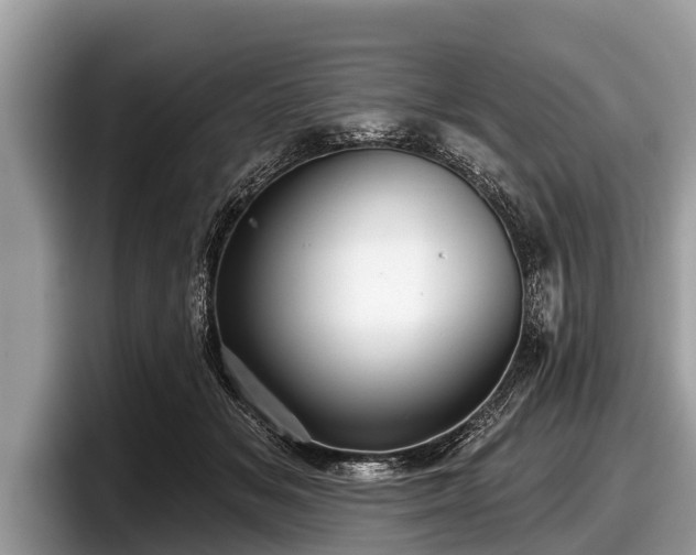 X0000097870509200803211317
