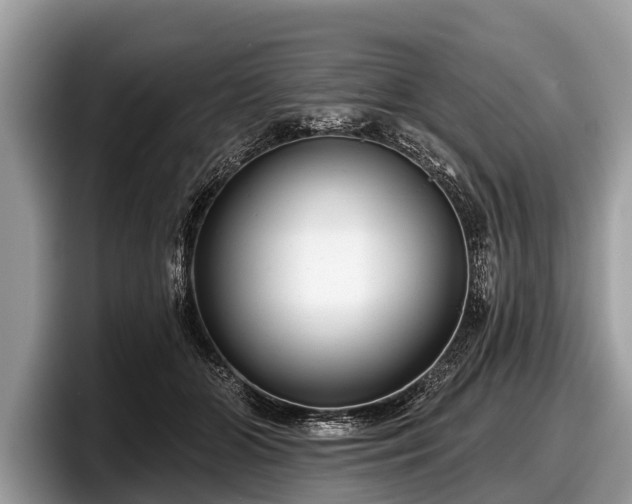 X0000097870510200803211317