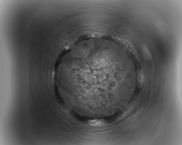 X0000097870511200803211317